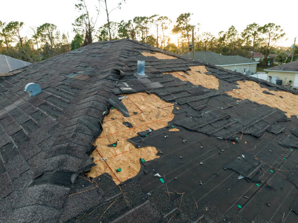 Best Roof Maintenance and Cleaning  in Bressler, PA